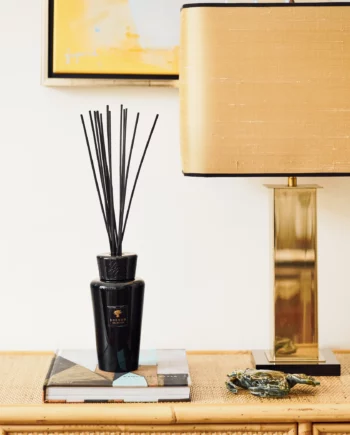 diffuseur 500