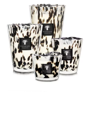black peral baobab collection
