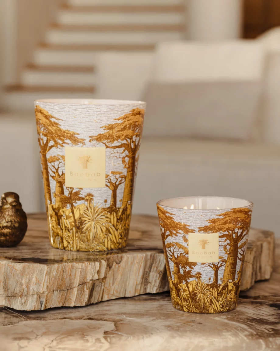 bougies Baobab collection