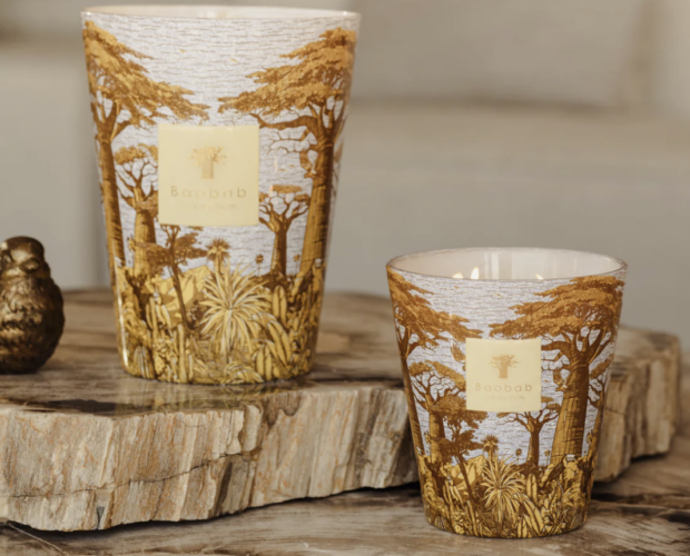 bougies baobab collection