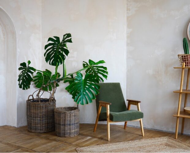 nouvelles tendances déco