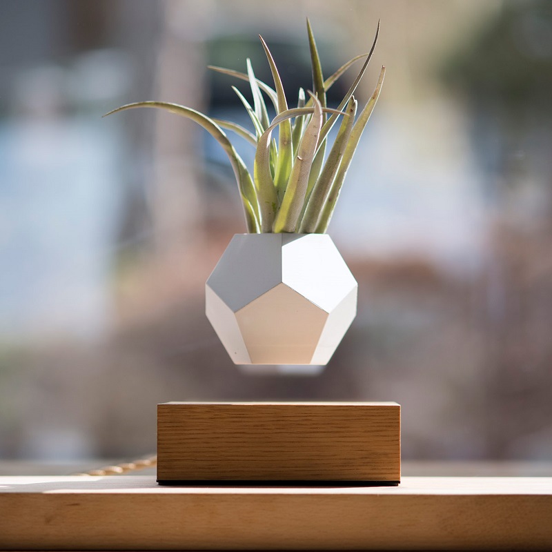 pot de fleur levitation life flyte